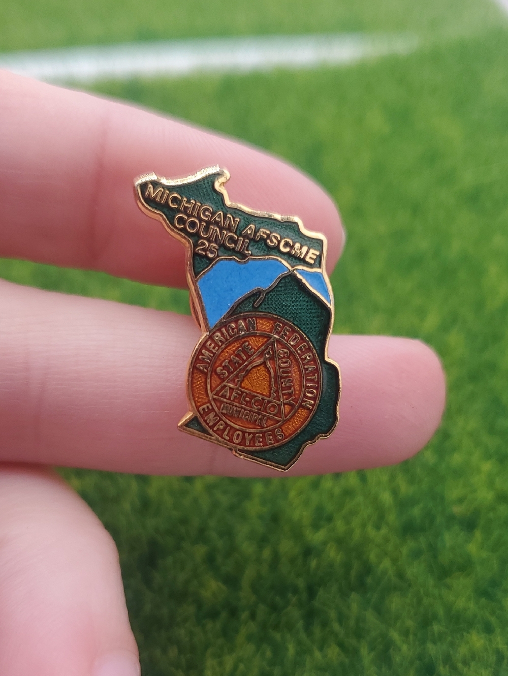 Michigan AFSCME Council 25 Enamel State Pin - Green & Blue B910
